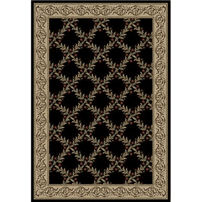 Kane Carpet Kane Carpet Elegance 8 x 11 Incredible Midnight Magic Area Rugs