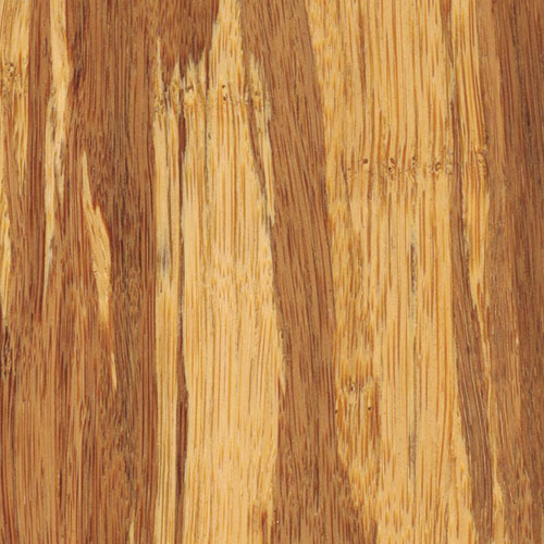 Teragren Teragren Synergy One Brindle Bamboo Flooring