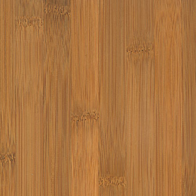 US Floors US Floors Anji Horizontal Spice (Sample) Bamboo Flooring