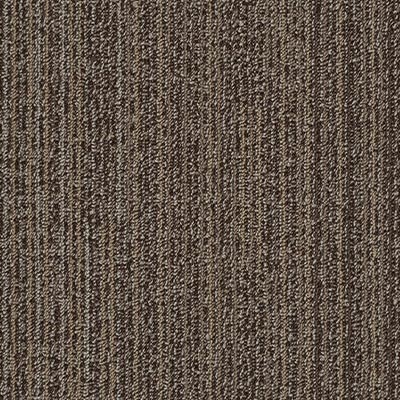 Beaulieu Beaulieu Planx 13 x 39 T4684 12 Carpet Tiles