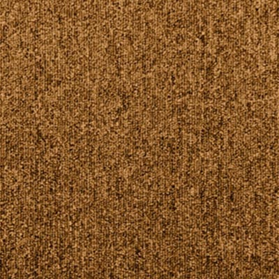 Beaulieu Beaulieu Upshot 24 x 24 T4666-008 Carpet Tiles