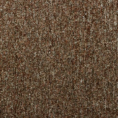 Beaulieu Beaulieu Upshot 24 x 24 T4666-308 Carpet Tiles