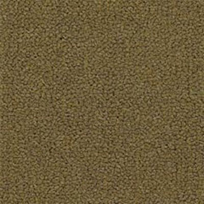 Mannington Mannington Belvedere V Beveled Marquee Carpet Tiles