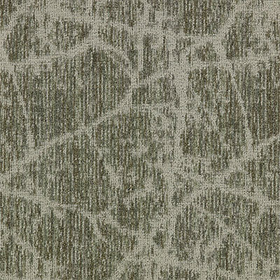 Mannington Mannington Canopy II Spruce Carpet Tiles