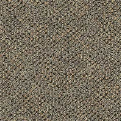Mannington Mannington Carthage 4 26oz Viceroy Carpet Tiles
