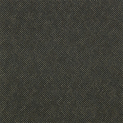 Mannington Mannington Carthage Brights 20oz Onyx Carpet Tiles