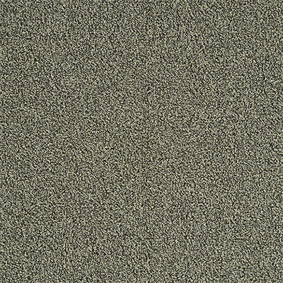 Mannington Mannington Centerfield IV 20oz Free Agent Carpet Tiles