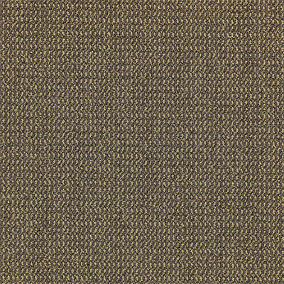 Mannington Mannington Close Knit II Costa Rica Carpet Tiles