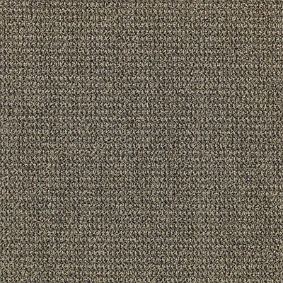 Mannington Mannington Close Knit II Nassau Carpet Tiles