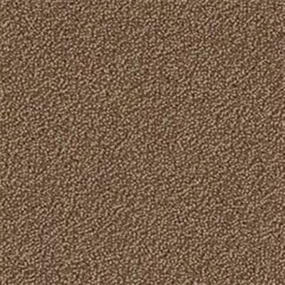 Mannington Mannington Color Canvas Briar Carpet Tiles