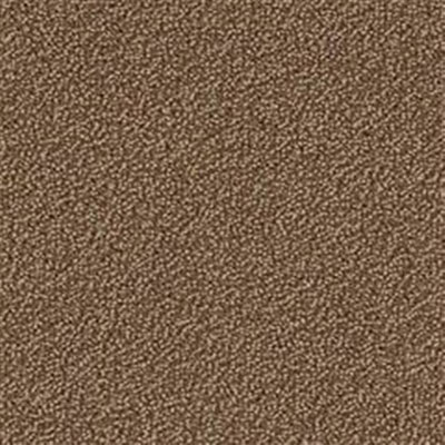 Mannington Mannington Color Canvas Bronze Carpet Tiles