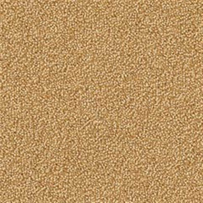 Mannington Mannington Color Canvas Palomino Carpet Tiles