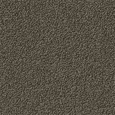 Mannington Mannington Color Canvas Slate Carpet Tiles