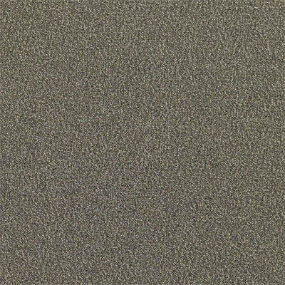 Mannington Mannington Everywear III Chinchilla Carpet Tiles