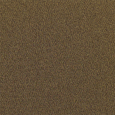 Mannington Mannington Everywear III Copper Carpet Tiles