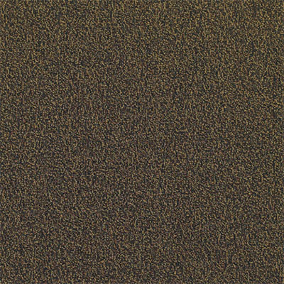 Mannington Mannington Everywear III Copper Luster Carpet Tiles