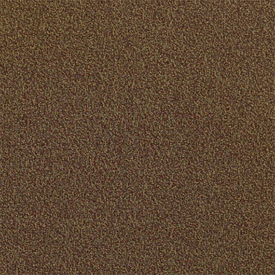 Mannington Mannington Everywear III Dahlia Carpet Tiles