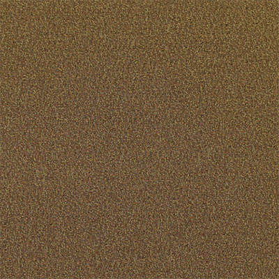 Mannington Mannington Everywear III Fox Carpet Tiles