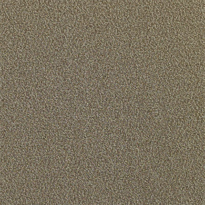 Mannington Mannington Everywear III Pumice Carpet Tiles