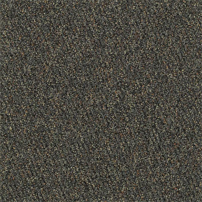 Mannington Mannington Everywear Plus 22oz Symphony Carpet Tiles