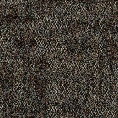 Mannington Mannington Halftime Robinson Carpet Tiles