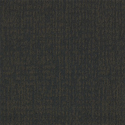 Mannington Mannington Innuendo Inferred Carpet Tiles