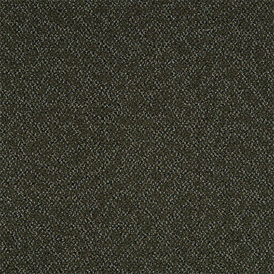 Mannington Mannington Means III Grounds Carpet Tiles