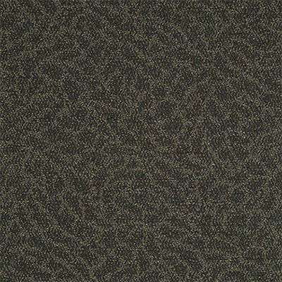 Mannington Mannington Means III Term Carpet Tiles