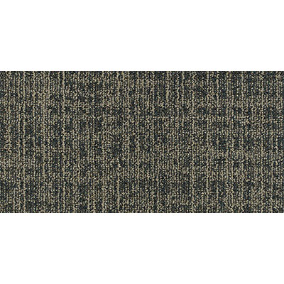 Mannington Mannington Mesh Region Carpet Tiles