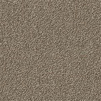 Mannington Mannington Modern Wear Taupe Carpet Tiles