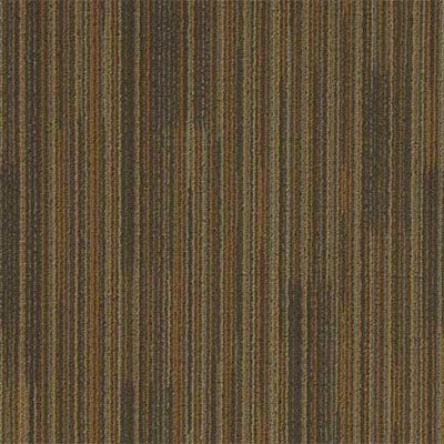 Mannington Mannington New Possibilities II Phenomenon Carpet Tiles