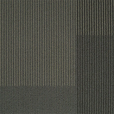 Mannington Mannington Terrain II Term Carpet Tiles