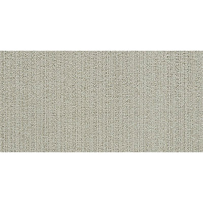 Mannington Mannington Variations 4 18 x 36 Broadcast Carpet Tiles