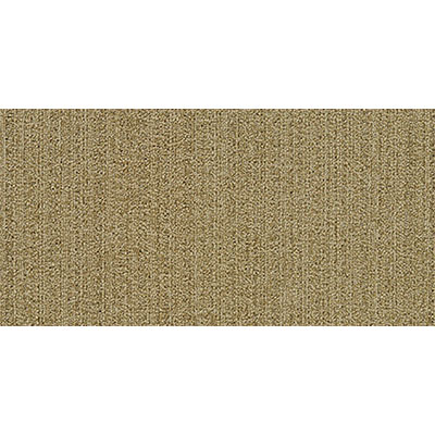 Mannington Mannington Variations 4 18 x 36 Community Carpet Tiles