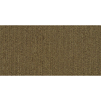 Mannington Mannington Variations 4 18 x 36 Networked Carpet Tiles