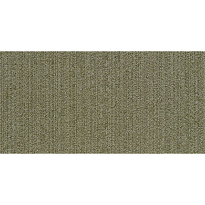 Mannington Mannington Variations 4 18 x 36 Update Carpet Tiles