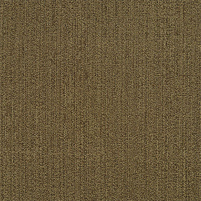 Mannington Mannington Variations 4 24 x 24 Networked Carpet Tiles