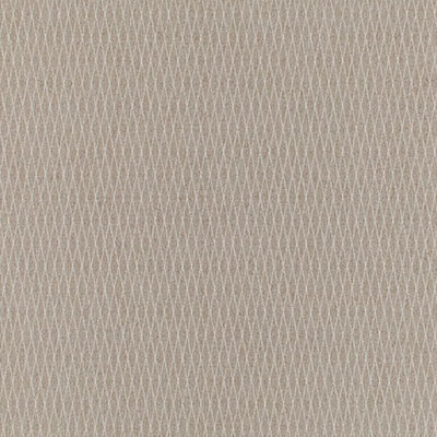 Milliken Milliken Fretwork Americas Crosshatch Modular 40 x 40 Furrow (Sample) Carpet Tiles