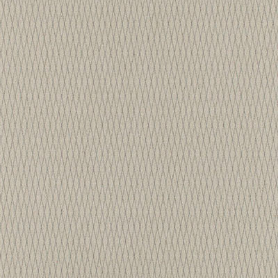 Milliken Milliken Fretwork Americas Crosshatch Modular 40 x 40 Interlace (Sample) Carpet Tiles