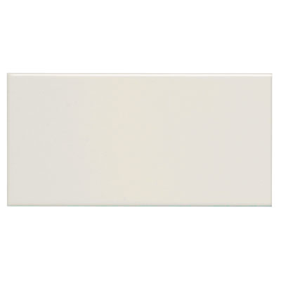 Adex USA Adex USA Neri 4 x 8 Bone (Sample) Tile & Stone