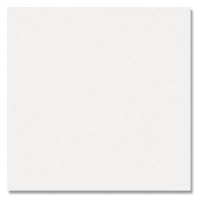 American Olean American Olean Decorum 12 x 12 Ideal White Polished Tile & Stone