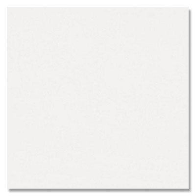 American Olean American Olean Decorum 12 x 24 Ideal White Polished Tile & Stone