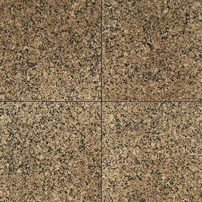 American Olean American Olean Stone Source Granite 12 x 12 Desert Brown Tile & Stone