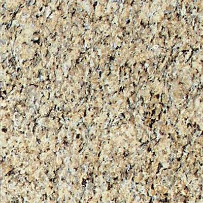 American Olean American Olean Stone Source Granite 12 x 12 Giallo Ornamental Tile & Stone