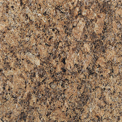 American Olean American Olean Stone Source Granite 12 x 12 Giallo Veneziano Tile & Stone