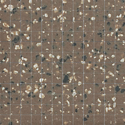 American Olean American Olean Unglazed Porcelain Mosaics with Clearface 1 x 1 Nutmeg-Speckle Group 2 Tile & Stone