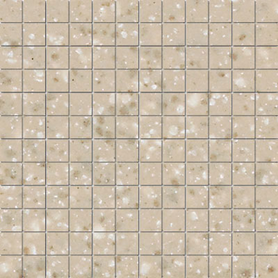 American Olean American Olean Unglazed Porcelain Mosaics with Clearface 1 x 1 Willow-Speckle Group 1 Tile & Stone
