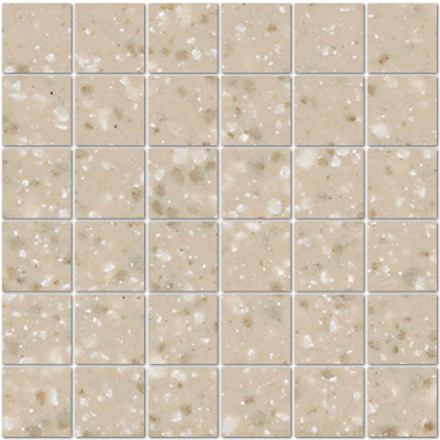 American Olean American Olean Unglazed Porcelain Mosaics with Clearface 2 x 2 Willow-Speckle Group 1 Tile & Stone