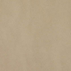 Atlas Concorde Atlas Concorde Studio Matt 12 x 24 Beige (Sample) Tile & Stone