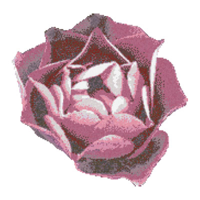 Bisazza Mosaico Bisazza Mosaico Piscine - Swimming Pools Rosa Rosa Tile & Stone